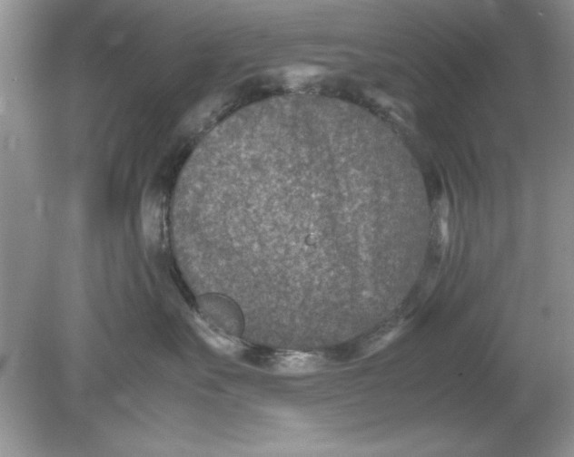 X0000078880527200612042027