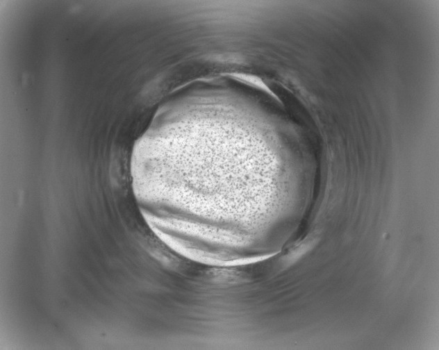 X0000078880528200612042027