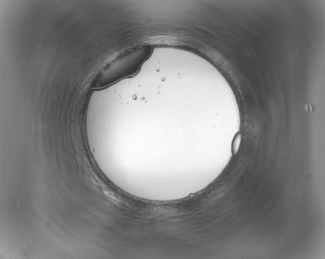 X0000078880529200612042026