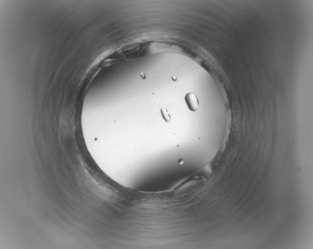 X0000078880530200612042026