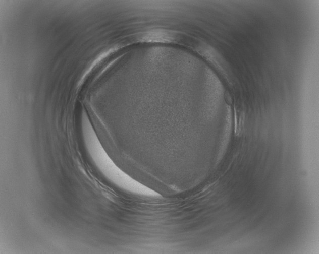 X0000078880531200612042026