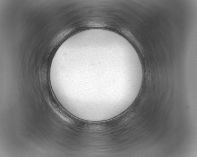 X0000078880533200612042026