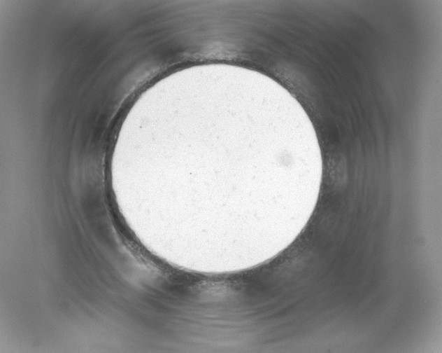 X0000078880534200612042027