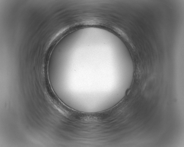 X0000078880535200612042027