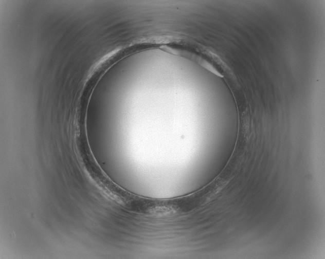 X0000078880536200612042027