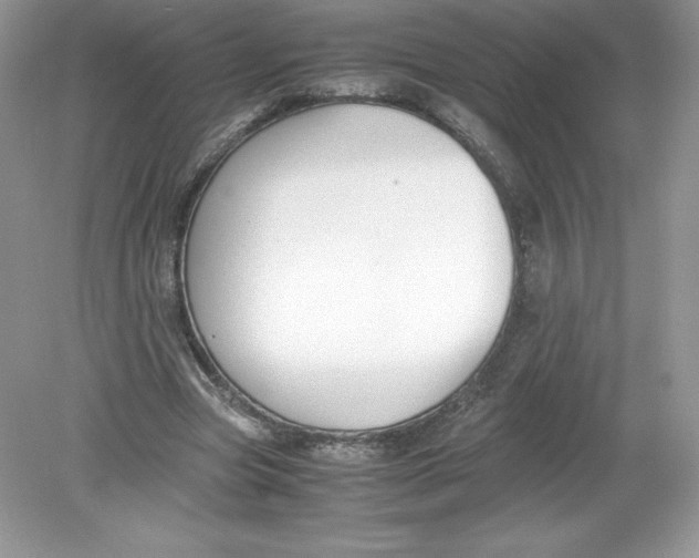 X0000078880537200612042027