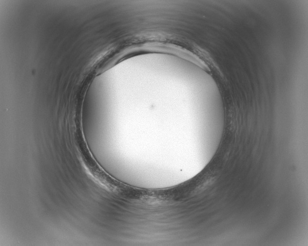 X0000078880538200612042027