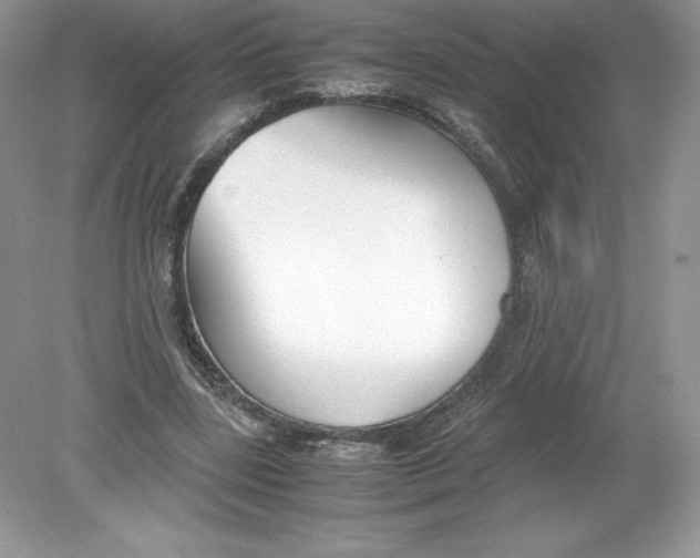 X0000078880539200612042027