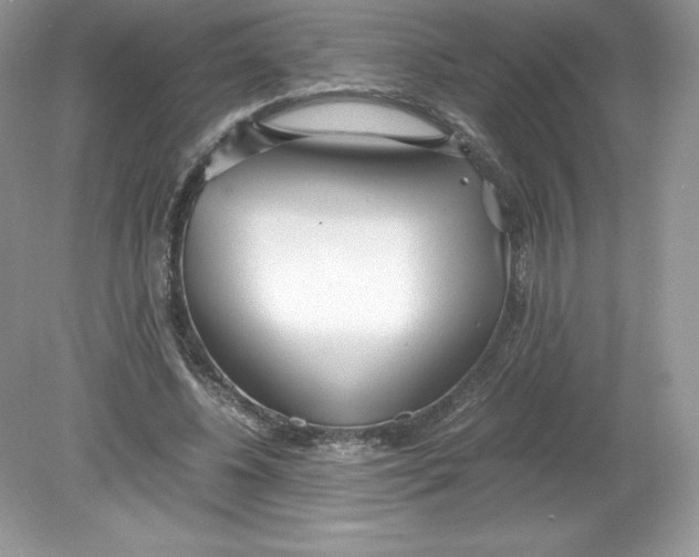 X0000078880540200612042027