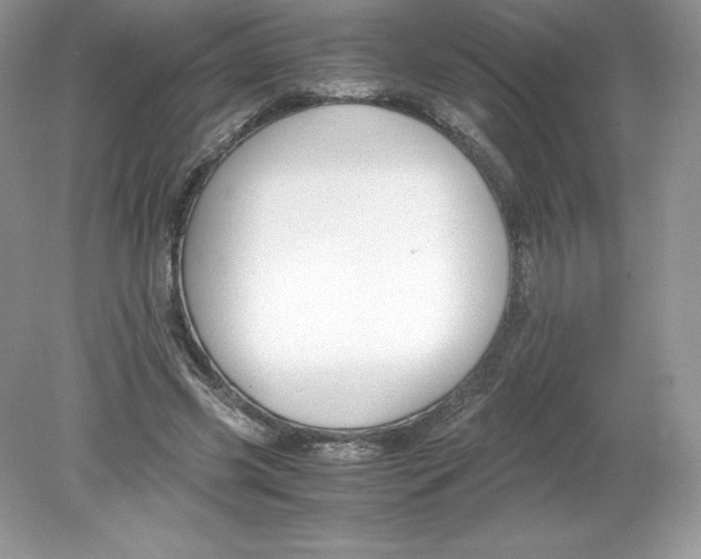 X0000078880541200612042027