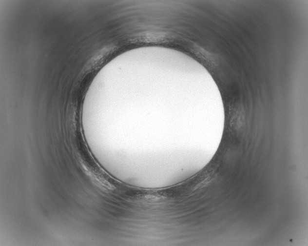 X0000078880542200612042027