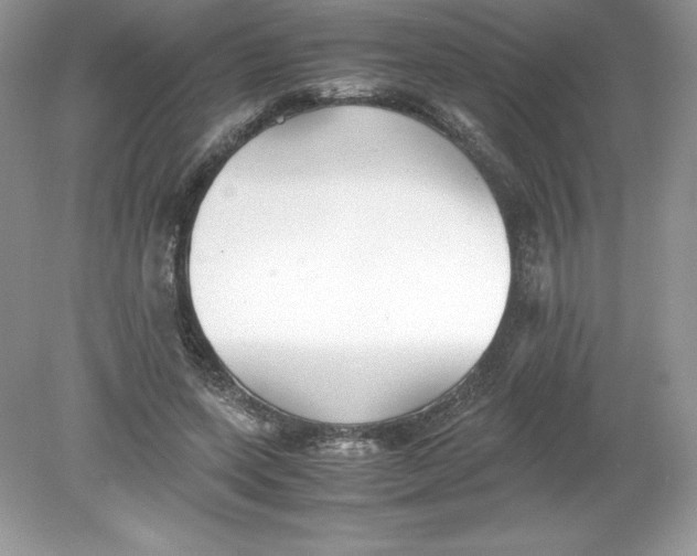 X0000078880543200612042027