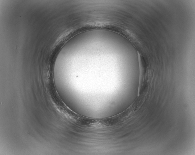 X0000078880544200612042027