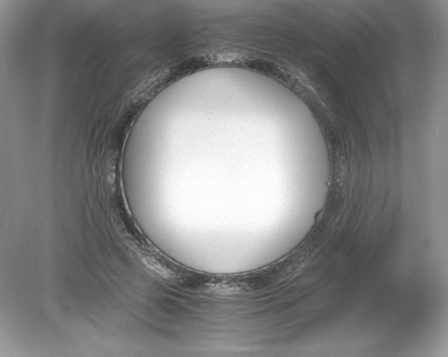 X0000078880545200612042027