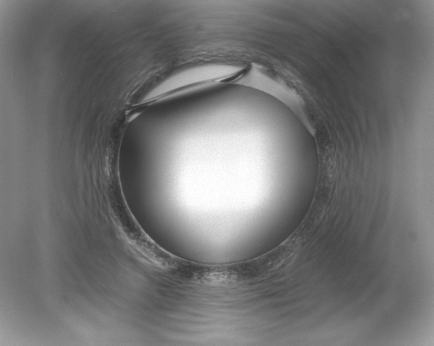 X0000078880546200612042027