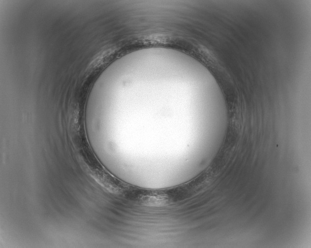 X0000078880548200612042027