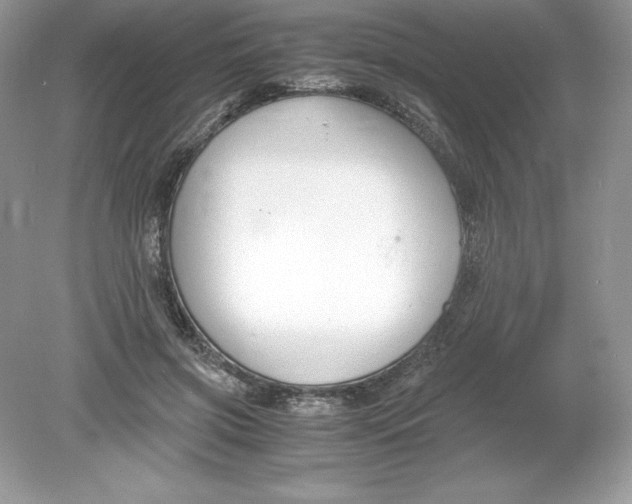 X0000078880549200612042027