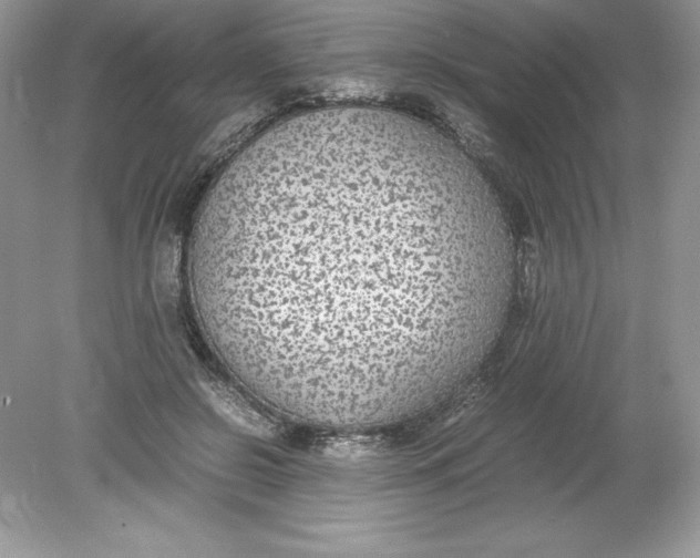 X0000078880550200612042027