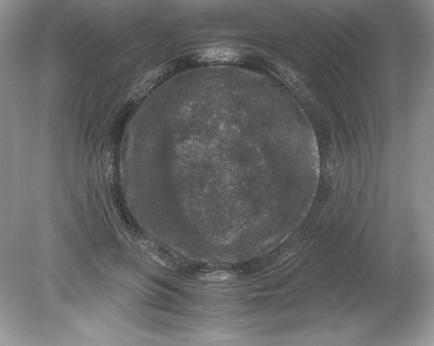 X0000078880551200612042027