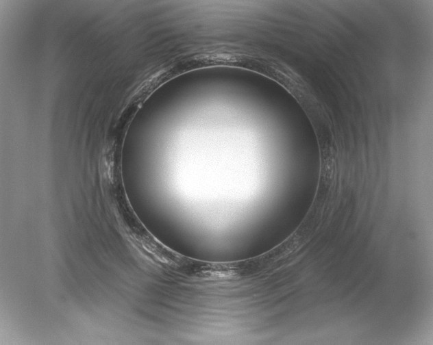 X0000078880552200612042027