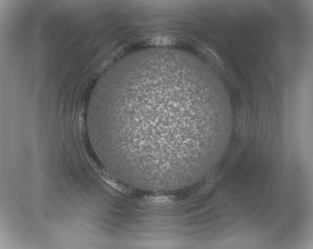 X0000078880553200612042027