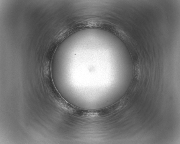 X0000078880554200612042027