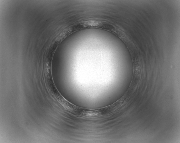 X0000078880555200612042027