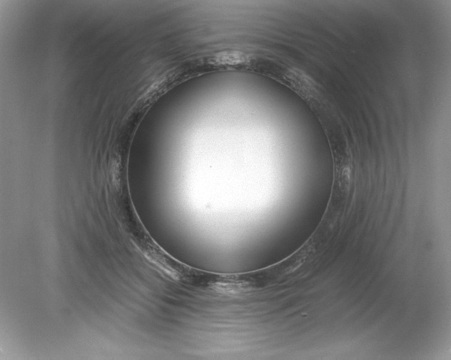 X0000078880556200612042027