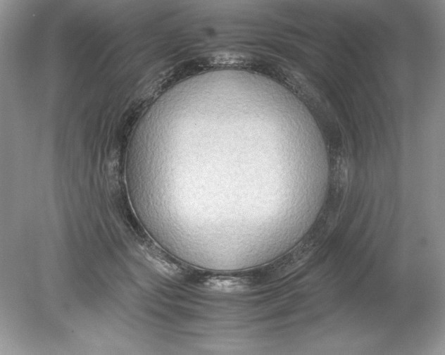 X0000078880557200612042027