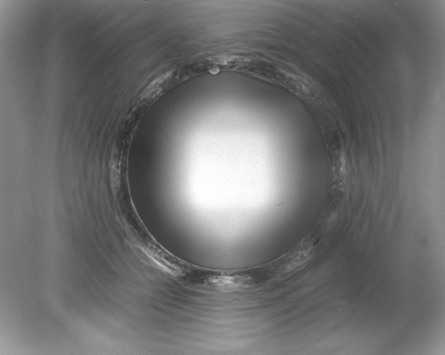 X0000078880558200612042027