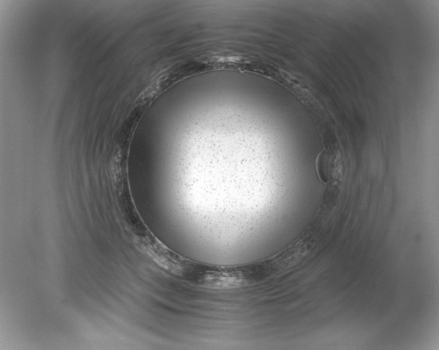 X0000078880559200612042027