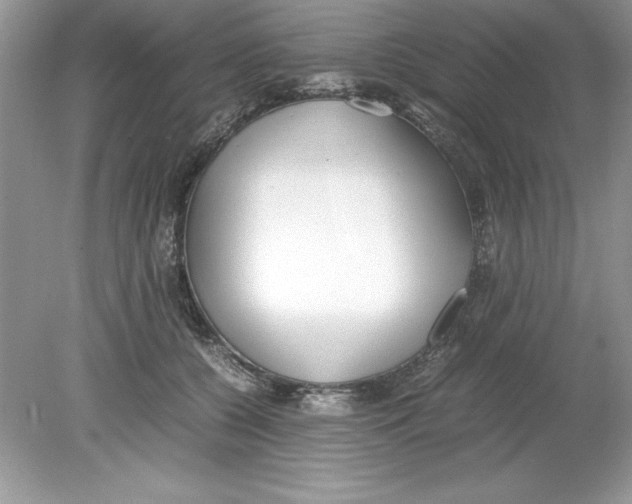 X0000078880560200612042027