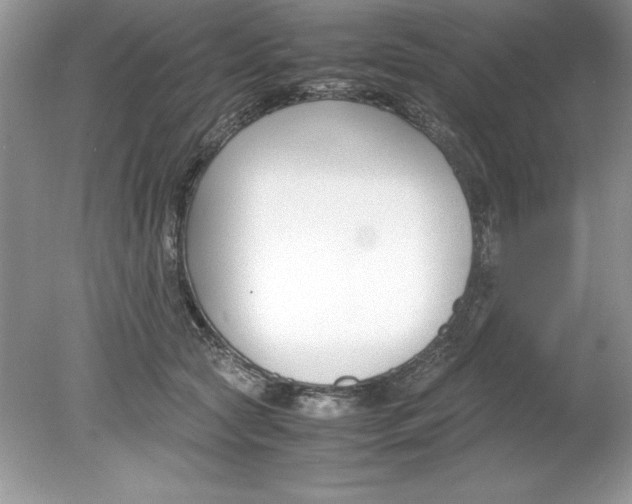 X0000078880561200612042027