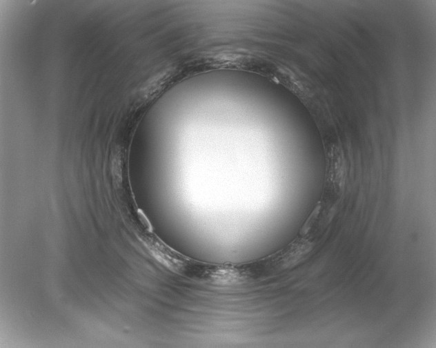 X0000078880562200612042027