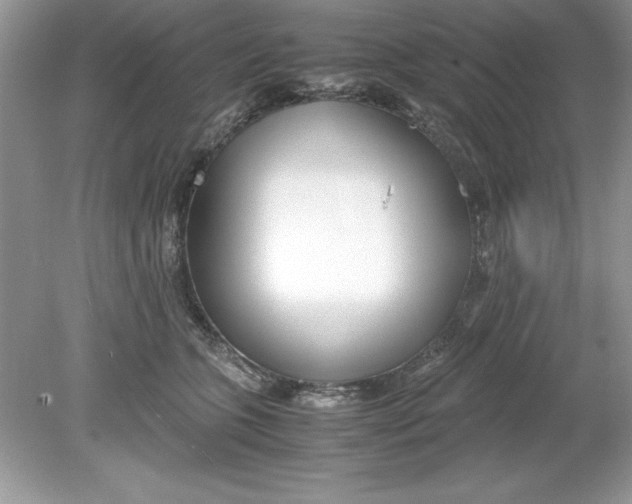 X0000078880563200612042027