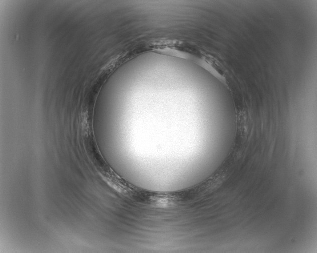 X0000078880564200612042027