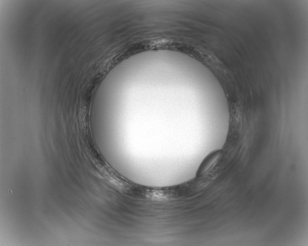 X0000078880565200612042027