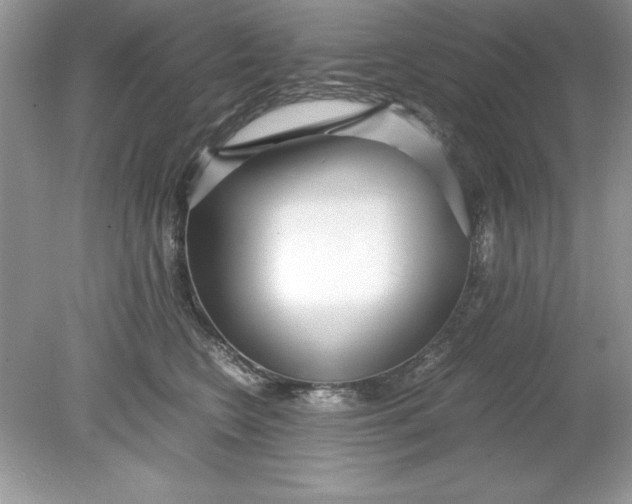 X0000078880566200612042027