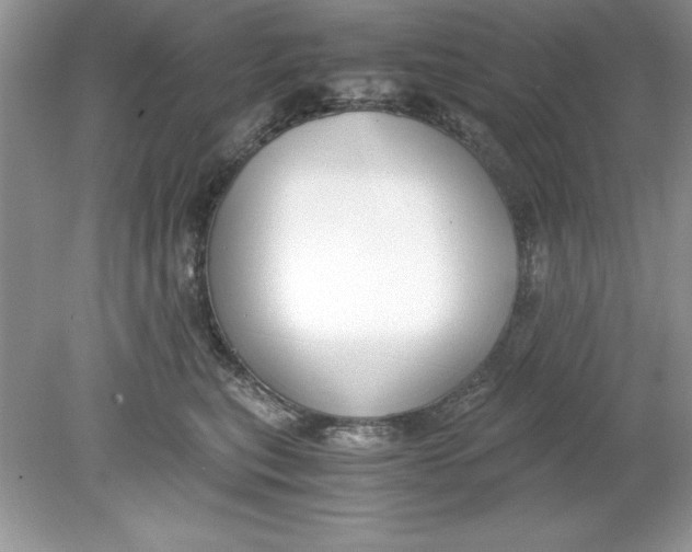 X0000078880567200612042027