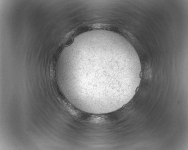 X0000078880569200612042027