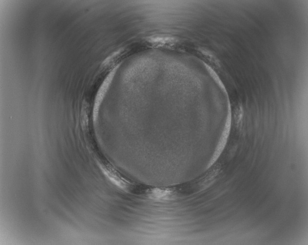 X0000078880570200612042027