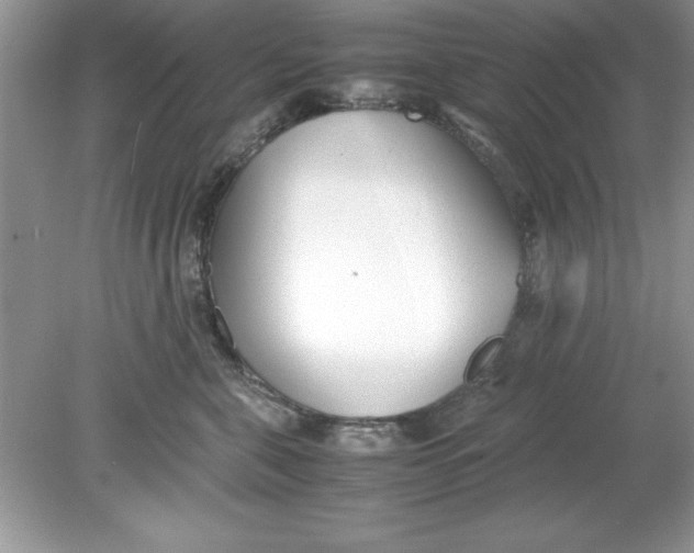 X0000078880571200612042027