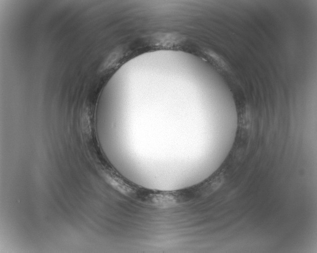 X0000078880572200612042027