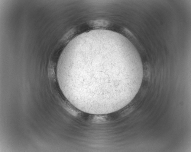 X0000078880573200612042027