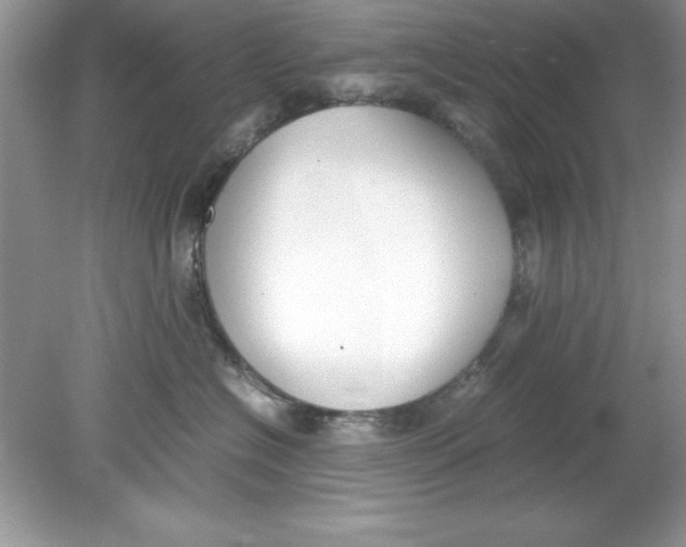 X0000078880574200612042027