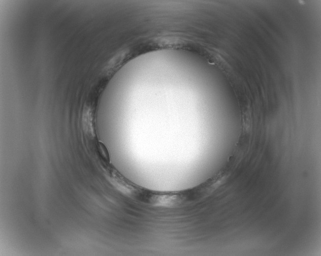 X0000078880575200612042027