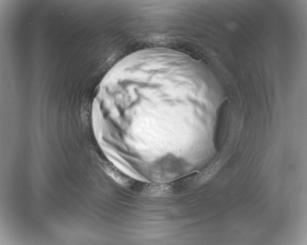 X0000078880576200612042027