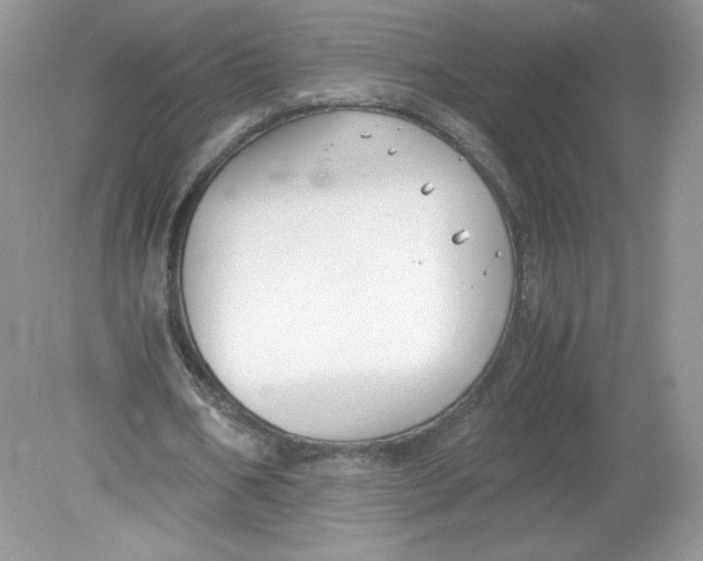 X0000078880578200612042026