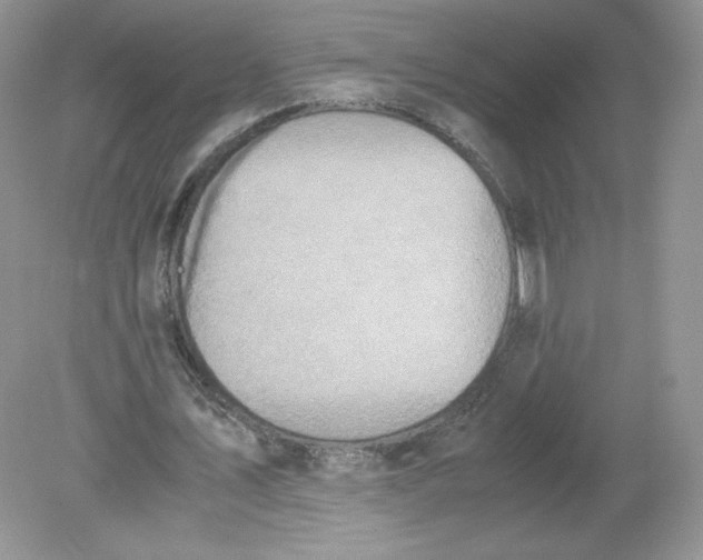 X0000078880579200612042026