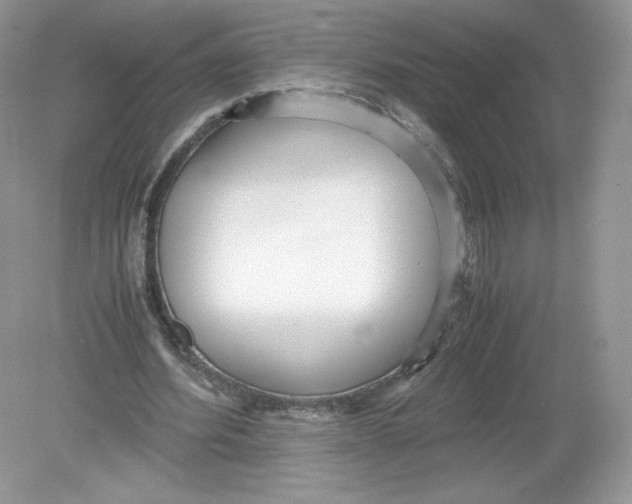 X0000078880580200612042026